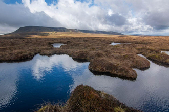 Cover of the Northern Ireland Peatland Strategy showing a bog landscape