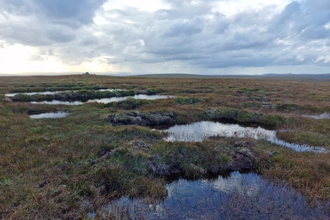 Blanket bog landscape with bog pools and a cairn in the background