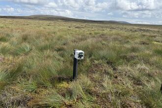Peatland landscape with Plant-e SensorStick on a post sticking up out of the ground.