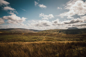 Blanket bog landscape with undulating hills covered in grasses and rushes and a mountain in the background.