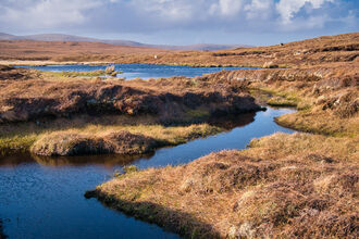 Blanket bog landscape with bog pools and mountains in the distance.