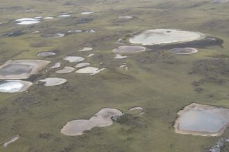 Aerial view of a flat green landscape dotted with large ponds, several of which are partially or fully dried out.