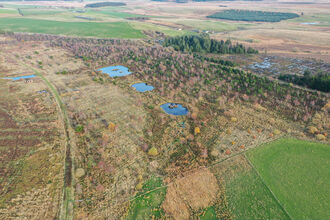 Aerial view of a flat peatland landscape with bog pools, shrubs and small trees. There are small patches of plantation forestry in the distance.