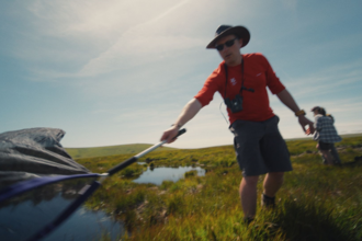 Person dragging a sweep net above a bog pool