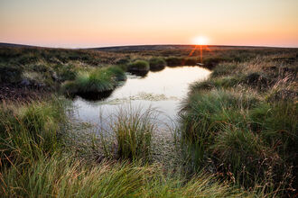 Blanket bog landscape showing a bog pool with the setting sun in the background.