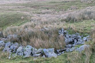 Ring of granite stones surrounding a patch of rushes.