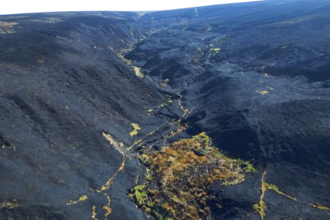 Large expanse of blackened moorland.