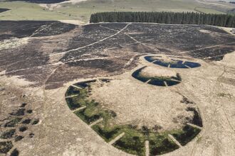 Aerial view of a burned landscape abutting an unburned area of peatland restoration. The dams are surrounded by green vegetation and pools of water.