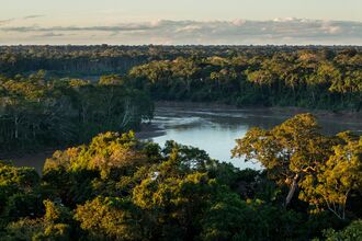 Wide bend in a river surrounded by rainforest