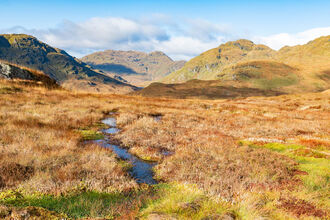 Open upland peatland landscape with hummocks of Sphagnum moss, pools of water and mountains in the distance.