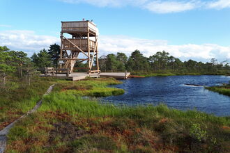Wooden viewing tower overlooking a large bog pool with a pathway leading up to it.