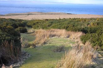 View along a grassy path through gorse bushes towards the sea.