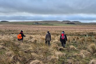 Three people in outdoor clothing walking away across an open landscape covered in large tussocks.