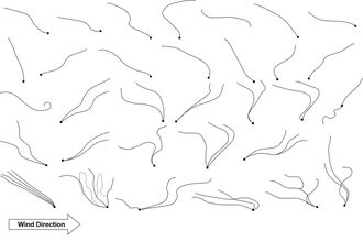 Black wavy lines across a white background.