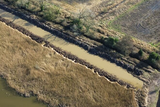 Aerial view of reedbeds with water filled-ditches and areas of open water.