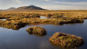 Blanket bog in the Flow Country © RSPB
