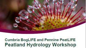 Image of peatland hydrology workshop flyer