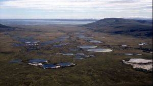 Image of Falklands © Jim McAdams