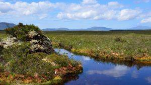 Image of Irish peatlands © Clifton Bain