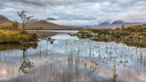 Image of Rannoch Moor © Derek Fergusson