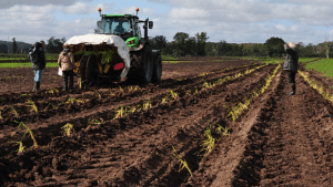 Wetlands International - Europe; Greifswald Mire Centre And National University Of Ireland, Galway Organizer of WEBINAR - Peatlands in the new CAP: potential and synergies for sustainable regional economies with climate and biodiversity benefits