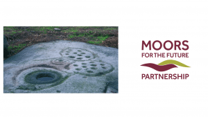 The heritage of peatlands -  webinar, MFFP