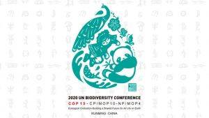COP 15 - 2020 UN Biodiversity Conference