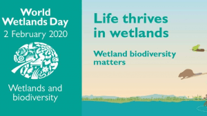 World Wetlands Day 2021