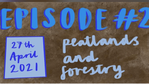 UK Anthology Series: Peatlands and Forestry flyer