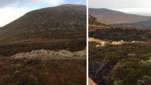 Healthy Heathland Project