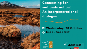 Connecting for Wetlands Action: an Intergenerational Dialogue flyer