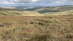 Swinhope Moor (c) E Taylor