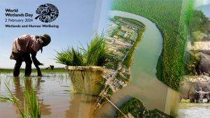 FAO World Wetlands Day image