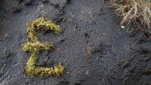 £ sign made out of Sphagnum moss on an area of bare peat. Credit Scottish Natural Heritage