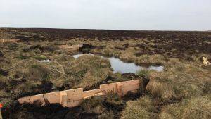 Timber dams at Humberstone Bank Farm 