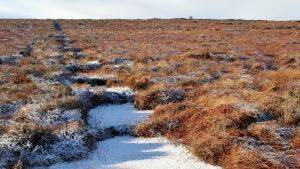 Cuilcagh Mountain after restoration work