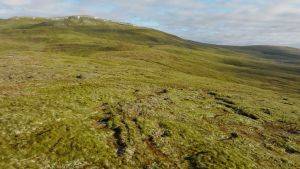 Ben Wyvis (c) Swift Films/NatureScot