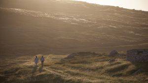 Bog cotton landscape © Stephen Price