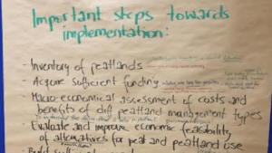 European Peatland Strategies workshop - Bonn, Germany 