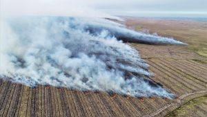 Flat peatland landscape on fire with large plumes of smoke. Image credit Paul Turner