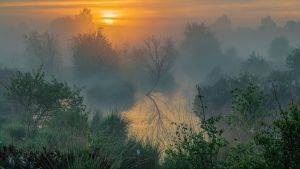 Dawn at Marches Mosses by Stephen Barlow