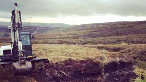 Reprofiling at Dryhope