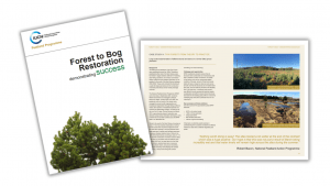 Forest to Bog Restoration cover image and example spread
