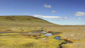 Dubh lochans and blanket bog at The Flows NNR near Forsinard, Caithness. June 2011 ©Lorne Gill/SNH/2020VISION