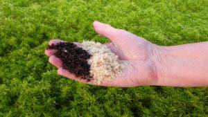 Sustainably sourced Sphagnum growing, harvested to produce dried Sphagnum (BeadaGro™) and mixed with other peat-free products to create a sustainable growing media.