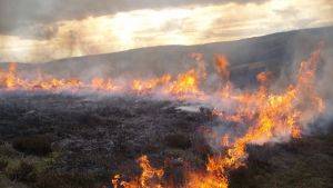 Heather burn (C) North Peninnes AONB