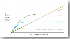Carbon Storage and Sequestration by Habitat 2021 (NERR094) Fig. 1.2