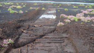 Neolithic trackway on Hatfield Moors. Credit: Henry Chapman Uni of Birmingham