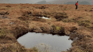 MFFP peat dams