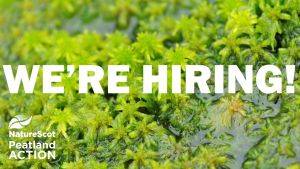 NatureScot Peatland ACTION we're hiring flyer